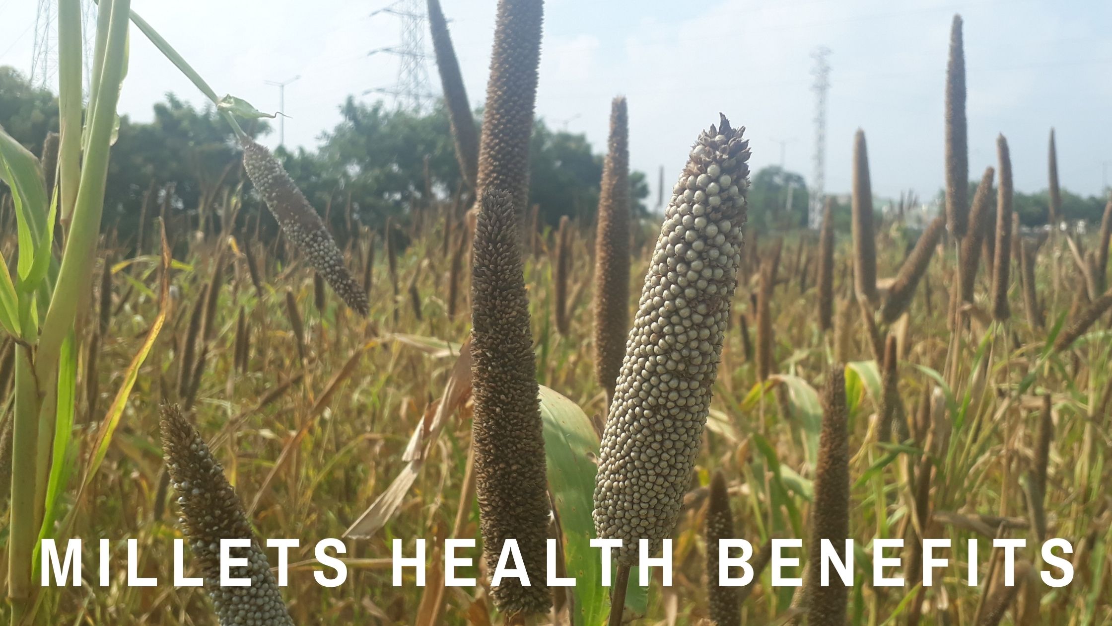 Millets Health Benefits
