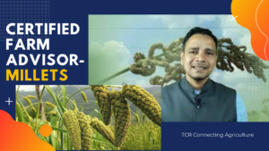 Certified Farm Advisor on Millets