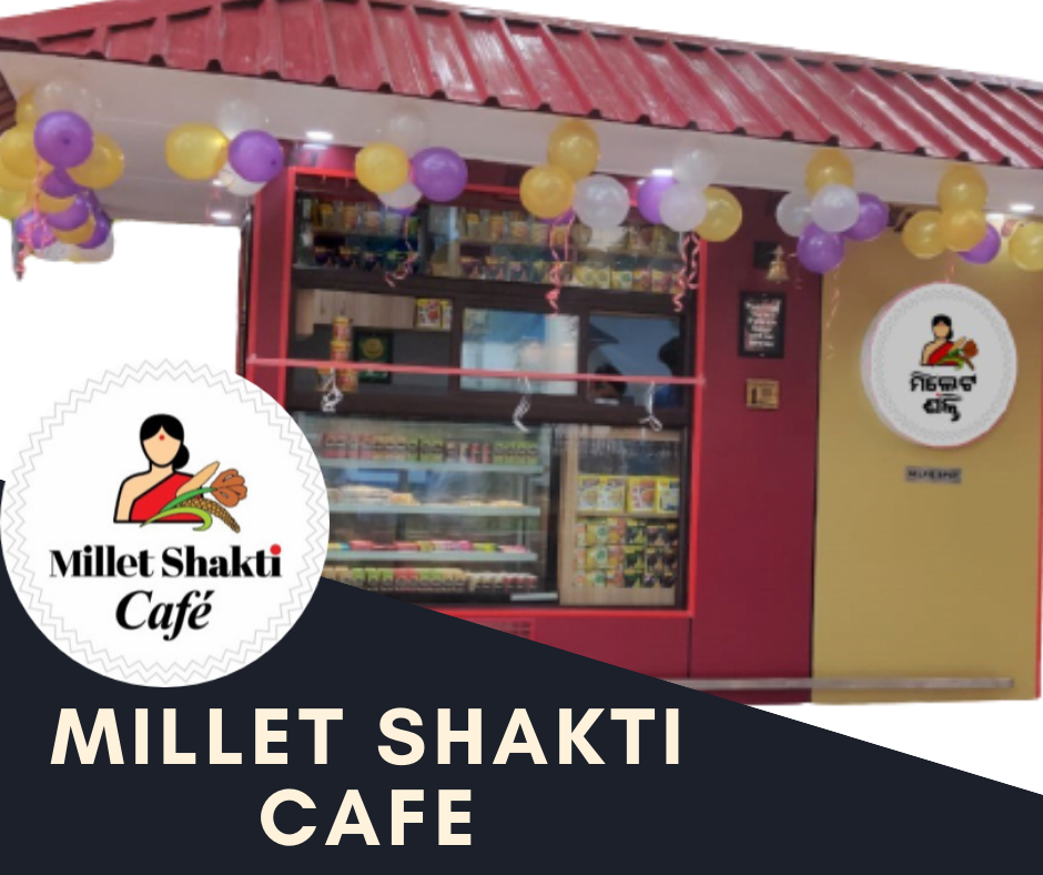 Odisha Millet Mission Best Model Showing The Way Forward In 2020