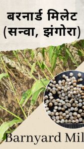 Millets in Hindi