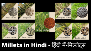 Best way to know Millets in Hindi – TCR Connecting Agriculture