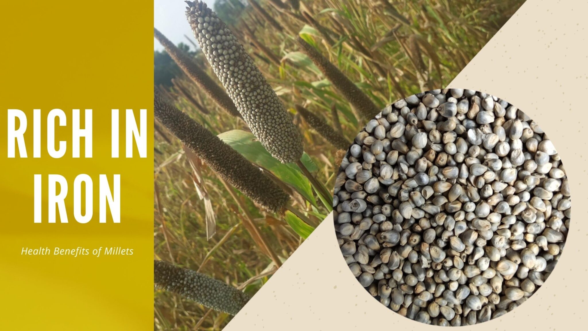 10 Health Benefits Of Millets Will Make You Fall In Love With It